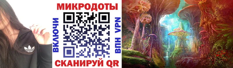 Псилоцибиновые грибы Psilocybe  Нея 